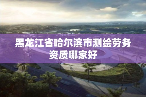 黑龙江省哈尔滨市测绘劳务资质哪家好 黑龙江省哈尔滨市测绘劳务资质哪家好