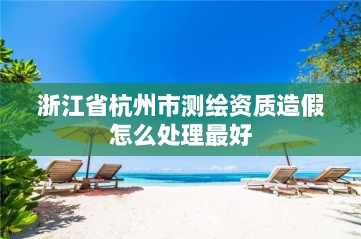 浙江省杭州市测绘资质造假怎么处理最好