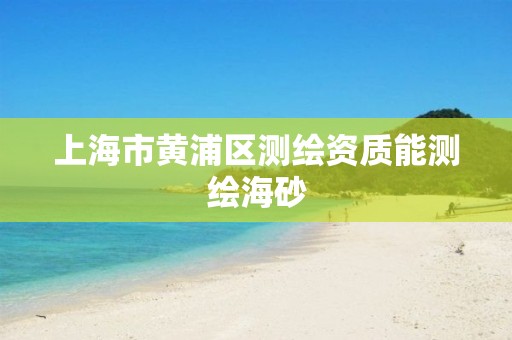 上海市黄浦区测绘资质能测绘海砂 上海市黄浦区测绘资质能测绘海砂