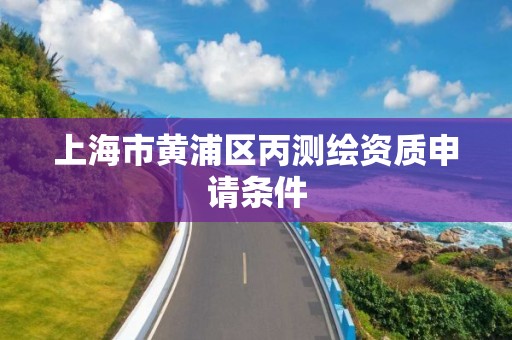 上海市黄浦区丙测绘资质申请条件