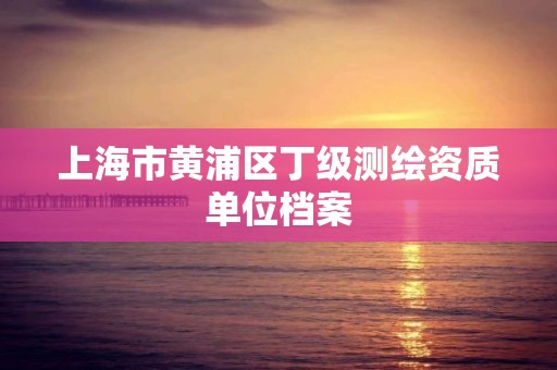 上海市黄浦区丁级测绘资质单位档案