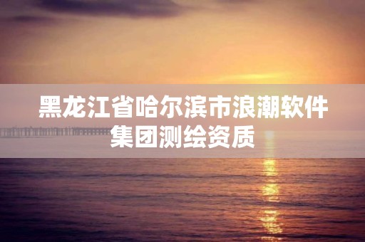 黑龙江省哈尔滨市浪潮软件集团测绘资质