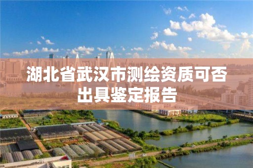 湖北省武汉市测绘资质可否出具鉴定报告