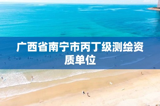 广西省南宁市丙丁级测绘资质单位