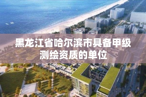 黑龙江省哈尔滨市具备甲级测绘资质的单位
