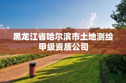 黑龙江省哈尔滨市土地测绘甲级资质公司