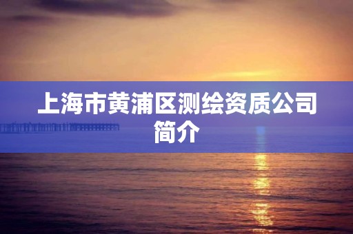 上海市黄浦区测绘资质公司简介