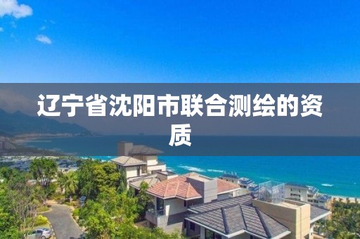 辽宁省沈阳市联合测绘的资质