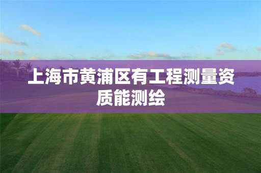 上海市黄浦区有工程测量资质能测绘 上海市黄浦区有工程测量资质能测绘