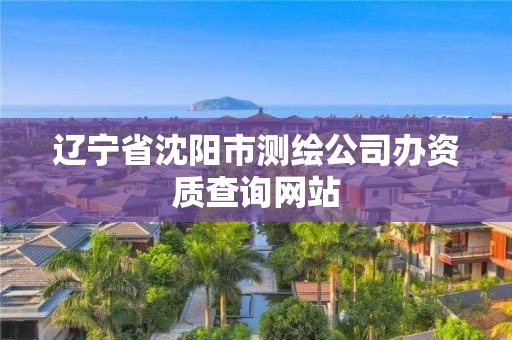 辽宁省沈阳市测绘公司办资质查询网站