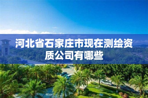 河北省石家庄市现在测绘资质公司有哪些