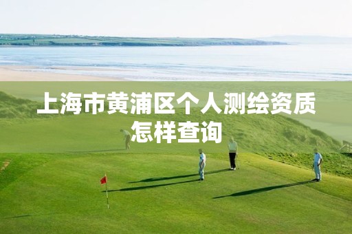 上海市黄浦区个人测绘资质怎样查询 上海市黄浦区个人测绘资质怎样查询