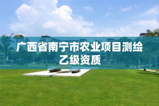 广西省南宁市农业项目测绘乙级资质