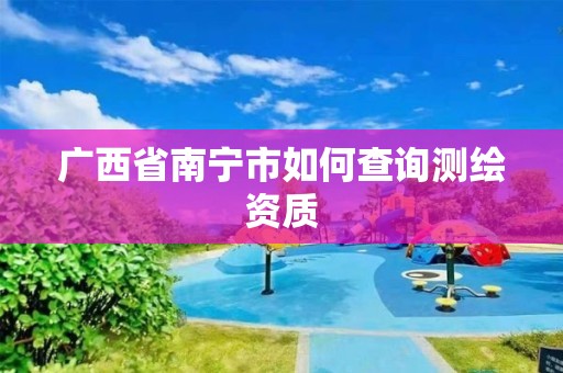 广西省南宁市如何查询测绘资质
