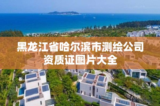 黑龙江省哈尔滨市测绘公司资质证图片大全