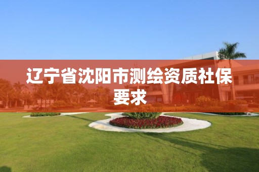 辽宁省沈阳市测绘资质社保要求