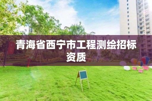 青海省西宁市工程测绘招标资质