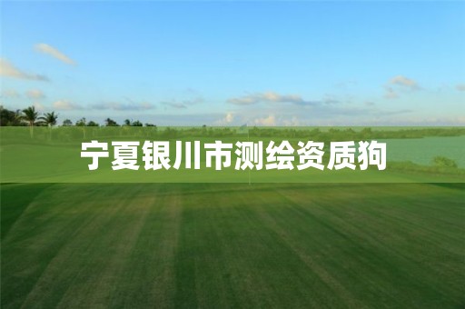 宁夏银川市测绘资质狗