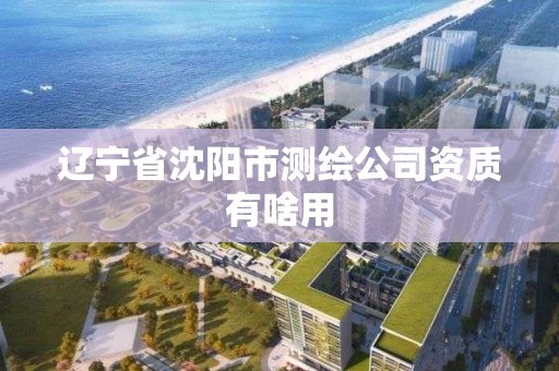 辽宁省沈阳市测绘公司资质有啥用