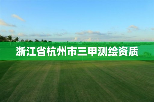 浙江省杭州市三甲测绘资质