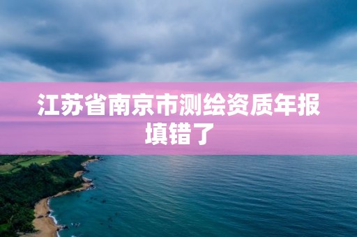 江苏省南京市测绘资质年报填错了