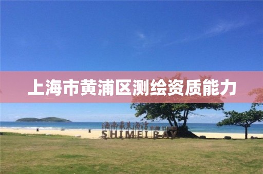 上海市黄浦区测绘资质能力