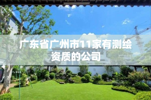 广东省广州市11家有测绘资质的公司