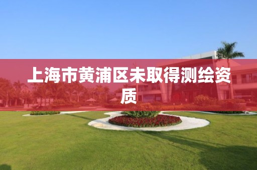 上海市黄浦区未取得测绘资质