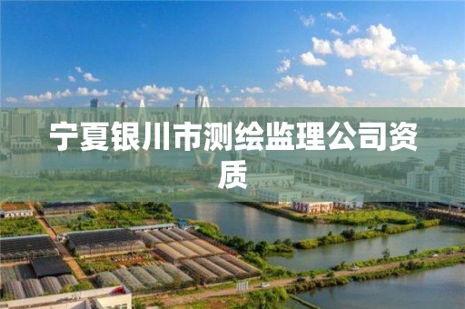 宁夏银川市测绘监理公司资质