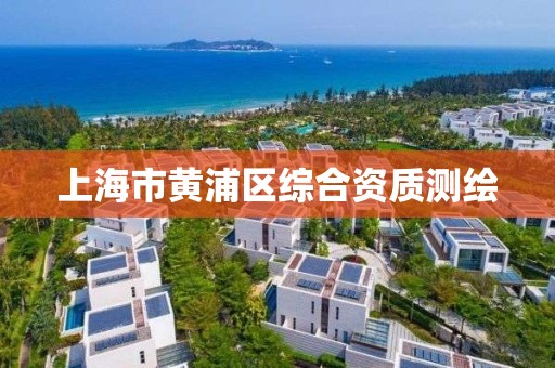 上海市黄浦区综合资质测绘 上海市黄浦区综合资质测绘