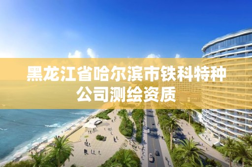 黑龙江省哈尔滨市铁科特种公司测绘资质