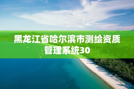 黑龙江省哈尔滨市测绘资质管理系统30