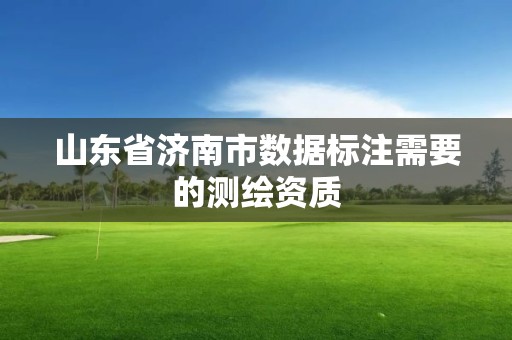 山东省济南市数据标注需要的测绘资质