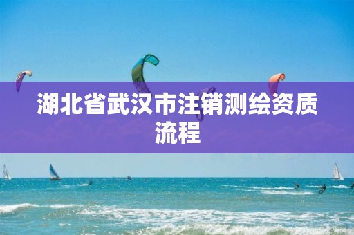 湖北省武汉市注销测绘资质流程