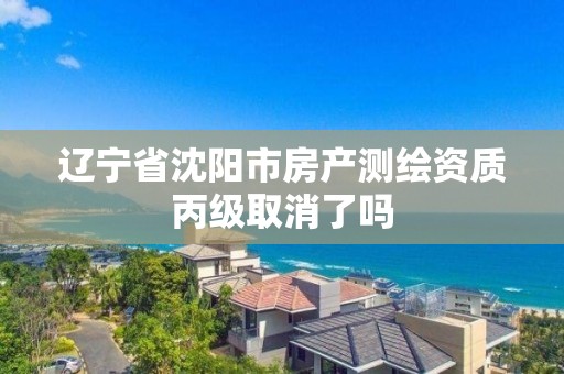 辽宁省沈阳市房产测绘资质丙级取消了吗