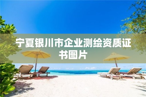 宁夏银川市企业测绘资质证书图片 宁夏银川市企业测绘资质证书图片
