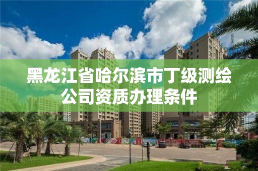 黑龙江省哈尔滨市丁级测绘公司资质办理条件