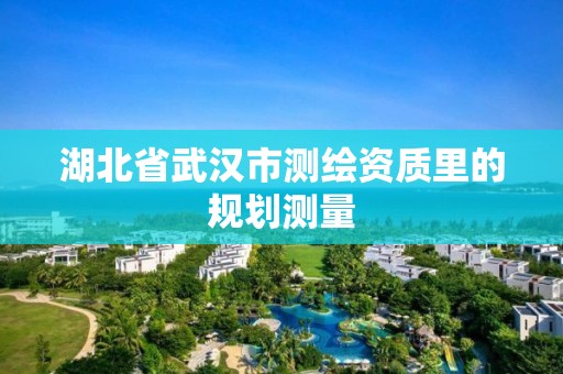 湖北省武汉市测绘资质里的规划测量