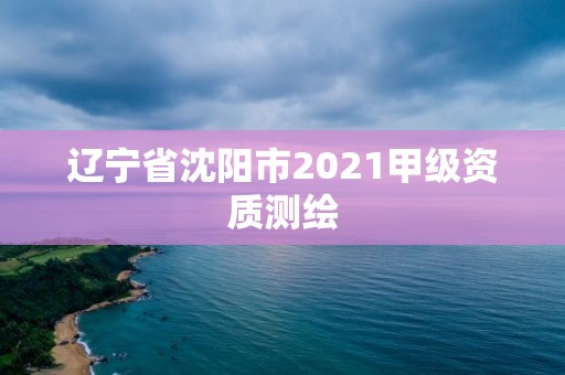 辽宁省沈阳市2021甲级资质测绘