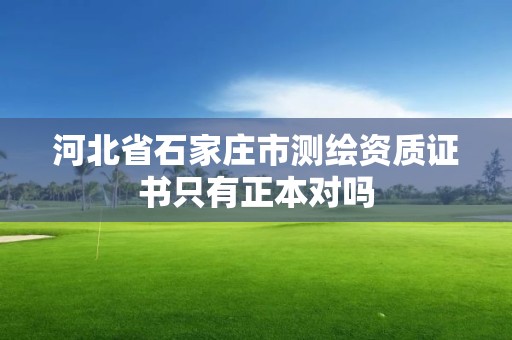 河北省石家庄市测绘资质证书只有正本对吗