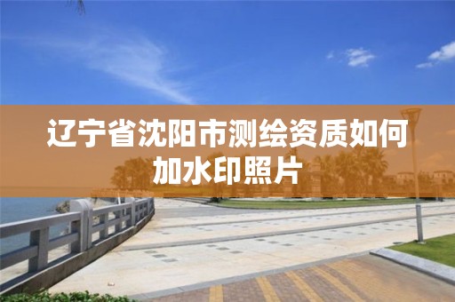 辽宁省沈阳市测绘资质如何加水印照片