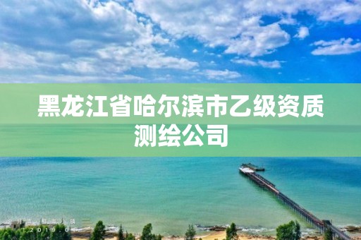 黑龙江省哈尔滨市乙级资质测绘公司