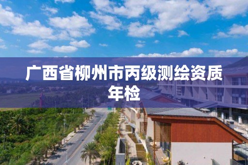 广西省柳州市丙级测绘资质年检