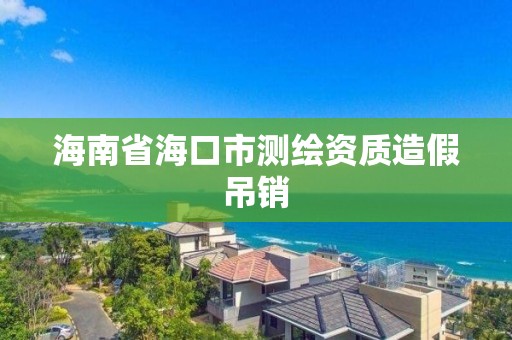 海南省海口市测绘资质造假吊销