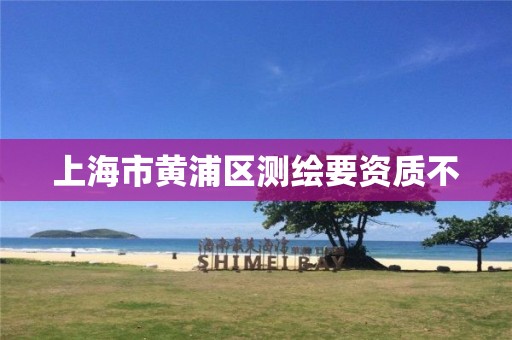 上海市黄浦区测绘要资质不