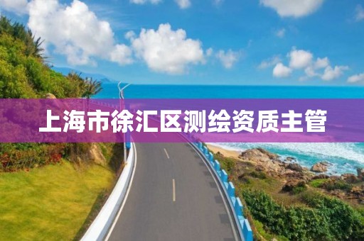 上海市徐汇区测绘资质主管