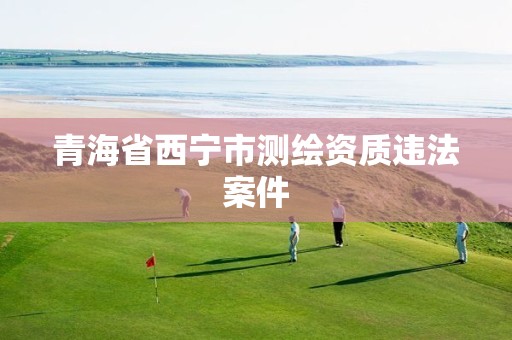 青海省西宁市测绘资质违法案件