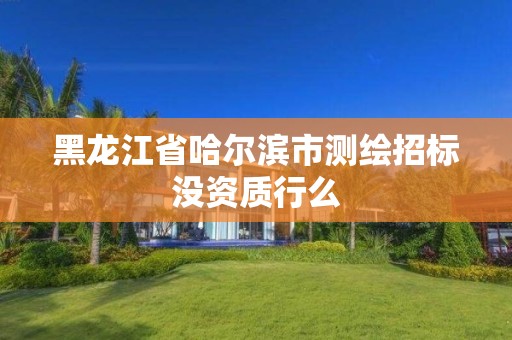 黑龙江省哈尔滨市测绘招标没资质行么 黑龙江省哈尔滨市测绘招标没资质行么