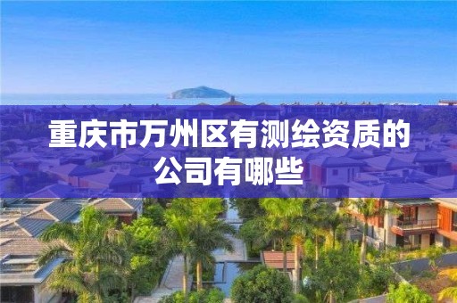 重庆市万州区有测绘资质的公司有哪些