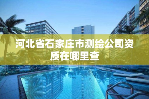 河北省石家庄市测绘公司资质在哪里查